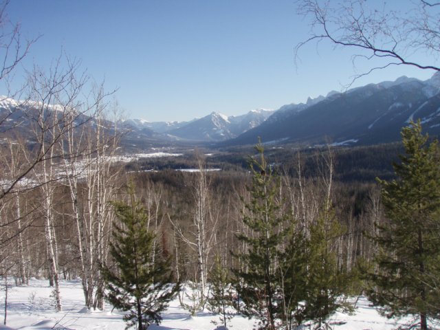 p2210057.jpg
