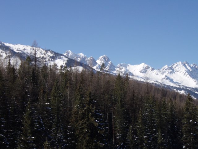 p2220069.jpg