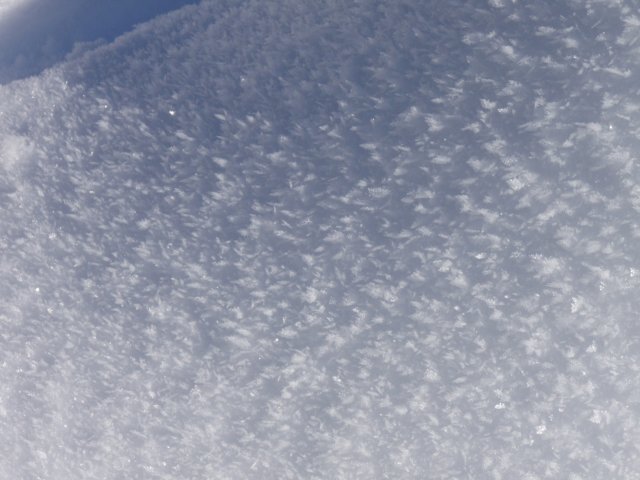 p2220082.jpg
