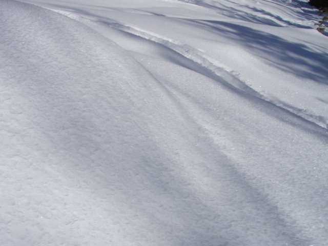 p2230102.jpg