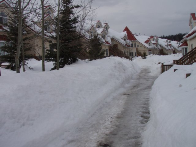 p2240106.jpg