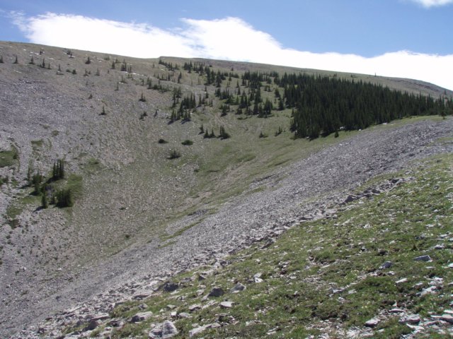 p7120723.jpg