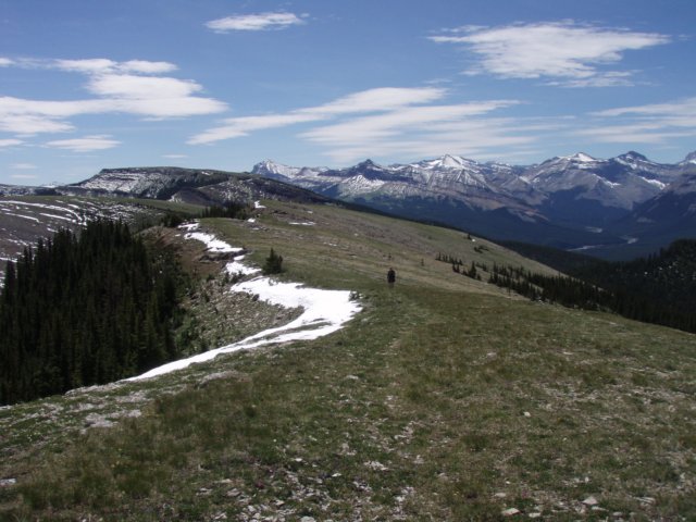 p7120733.jpg