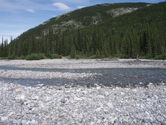 p7120764.jpg