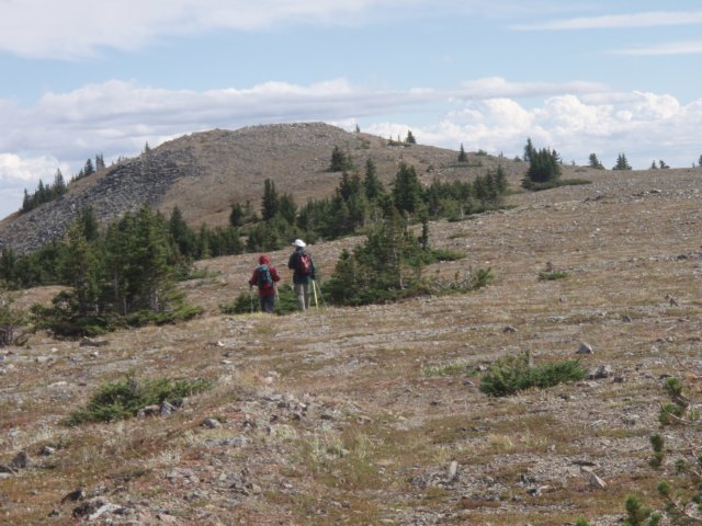 p9174217.jpg