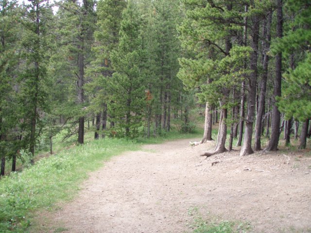 p6280330.jpg