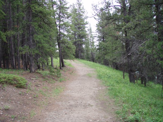 p6280333.jpg