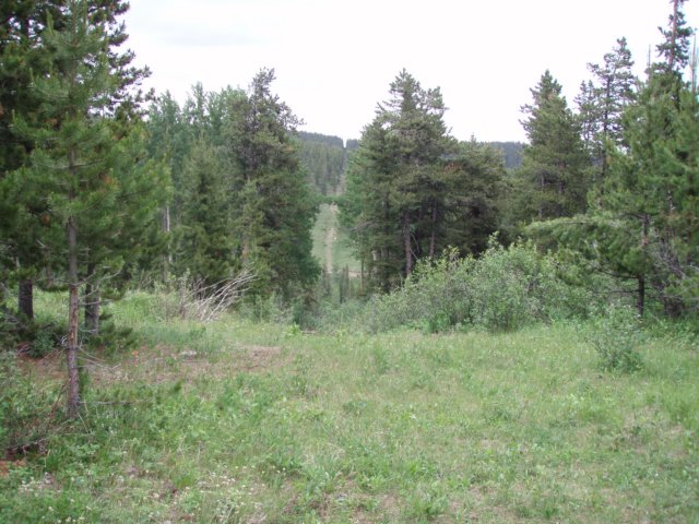 p6280335.jpg