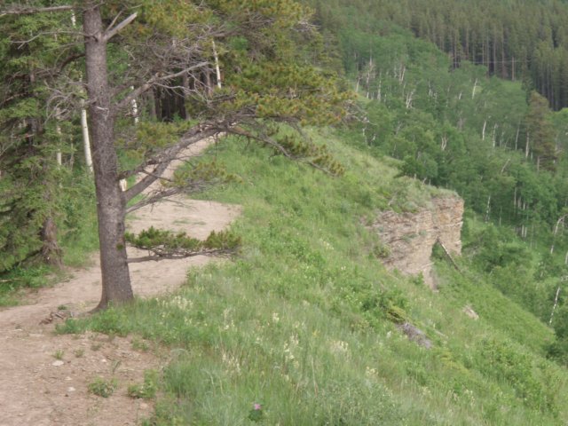 p6280345.jpg