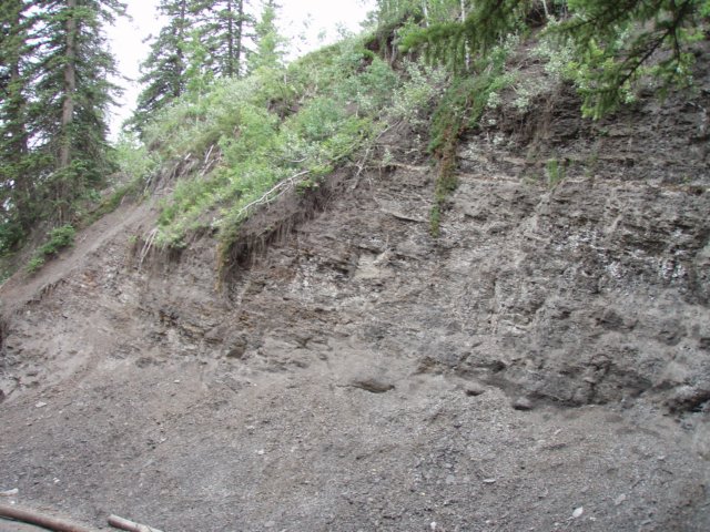 p6280354.jpg