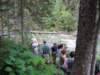 goatriverjohn005_small.jpg