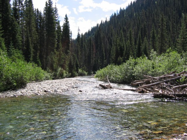 goatriverjohn039.jpg