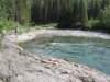 goatriver035_small.jpg