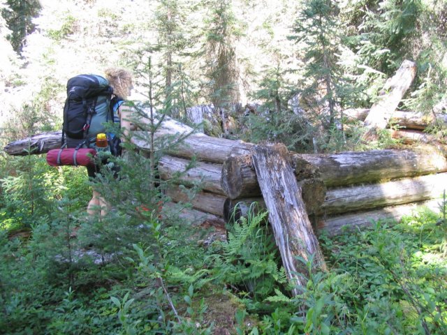 goatriver051.jpg