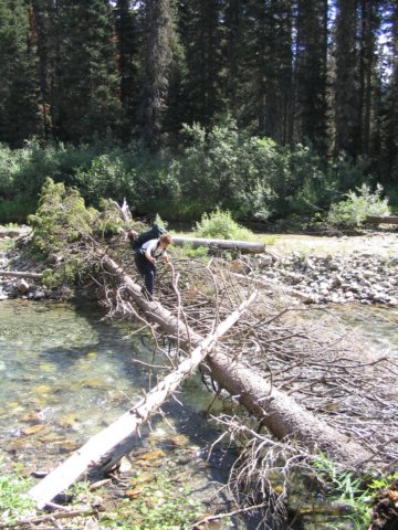 goatriver054.jpg