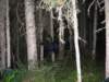 goatriver088_small.jpg