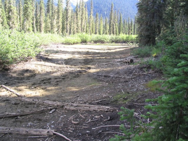 goatriver103.jpg