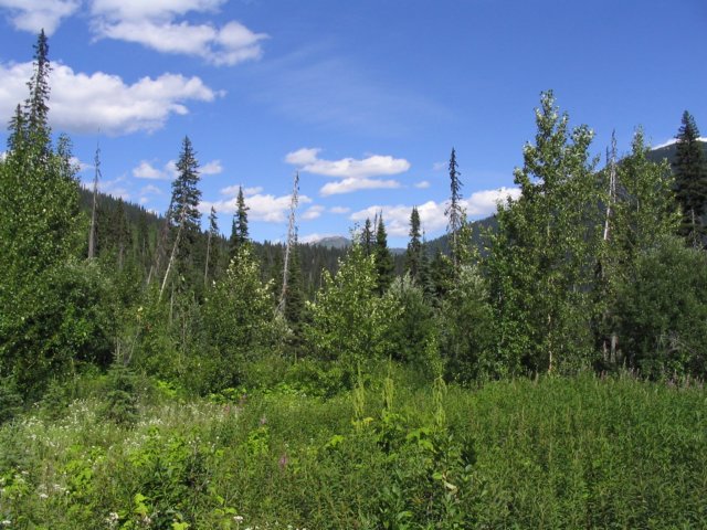 goatriver134.jpg