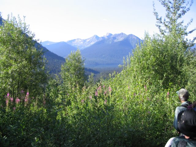 goatriver160.jpg