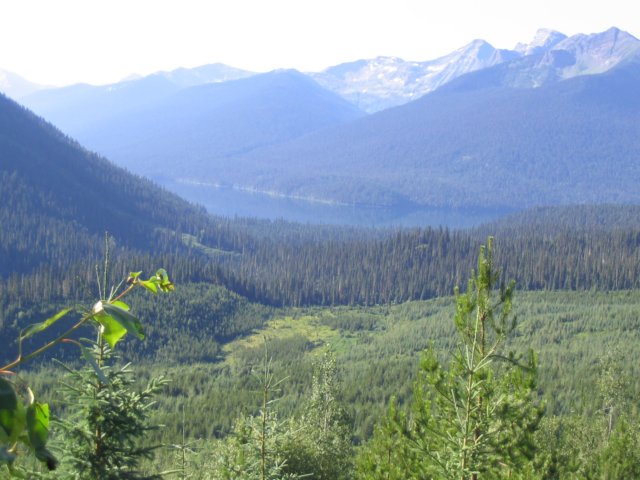 goatriver163.jpg
