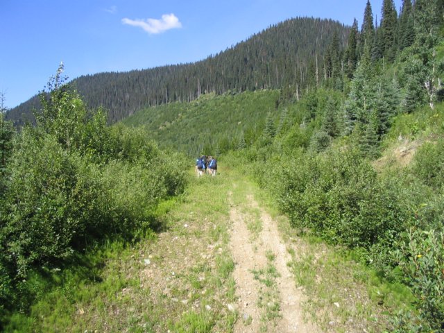 goatriver172.jpg