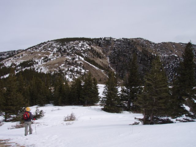 bullcreek0703011.jpg