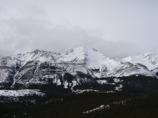 bullcreek0703016.jpg