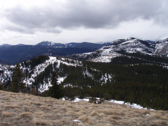 bullcreek0703017.jpg