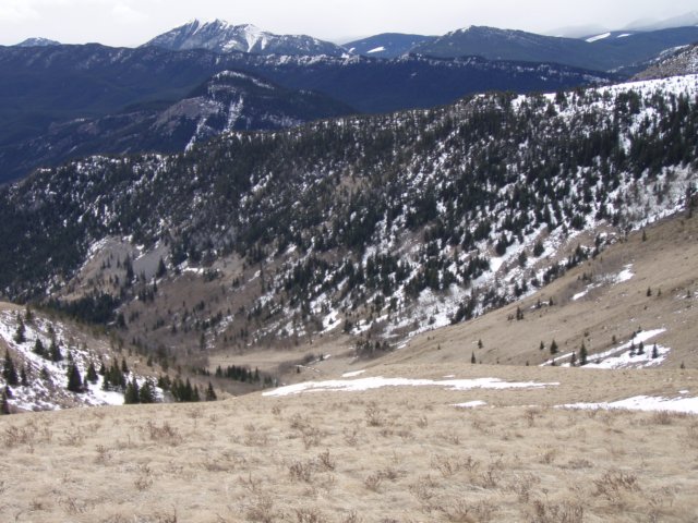 bullcreek0703020.jpg