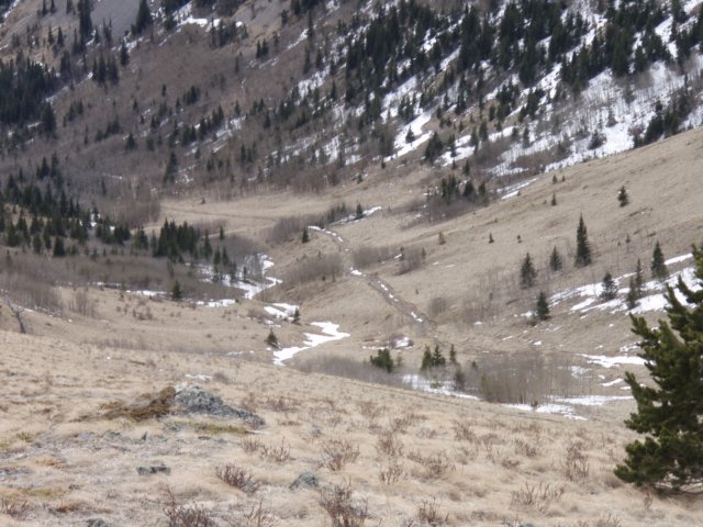 bullcreek0703022.jpg