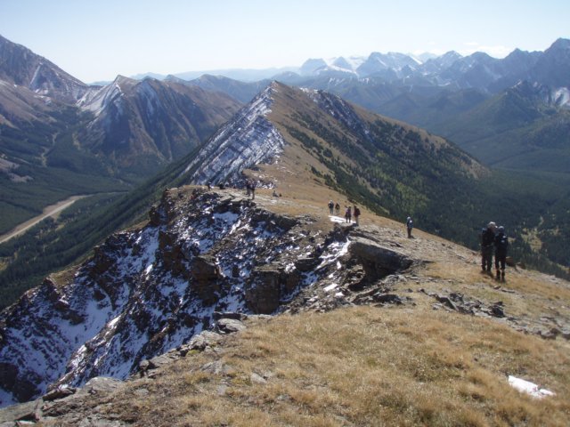 p9204252.jpg
