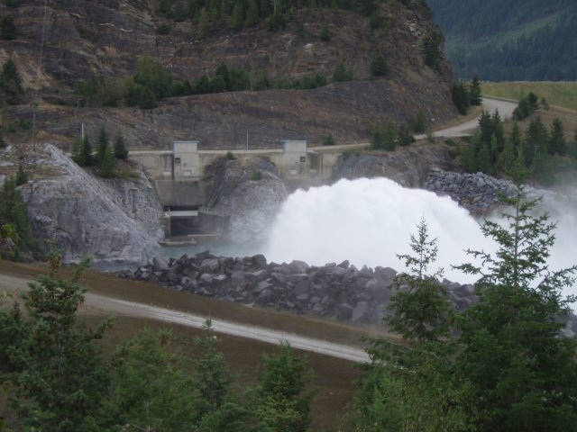p8263165.jpg