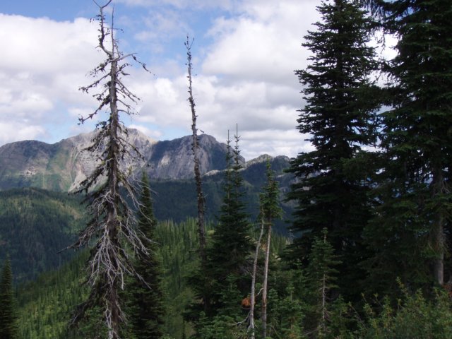 p8221339.jpg