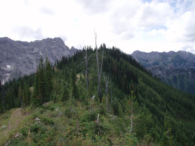 p8221343.jpg