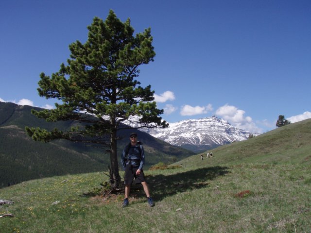 p5310343.jpg