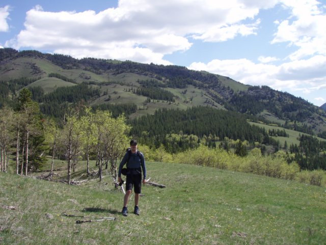 p5310344.jpg