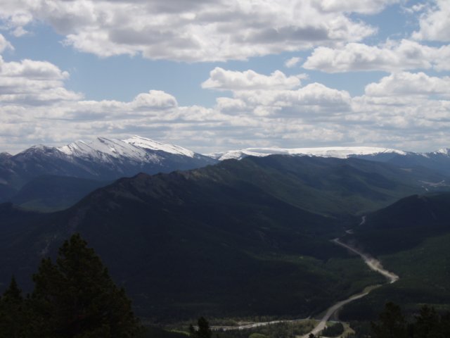 p5310363.jpg