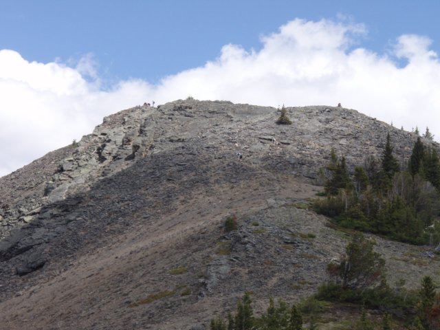 p5310366.jpg
