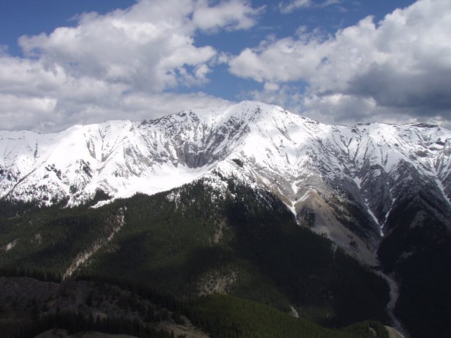 p5310372.jpg