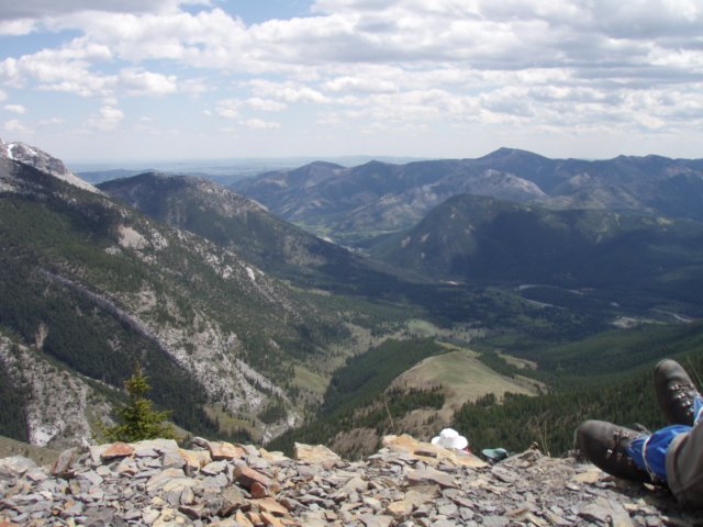p5310381.jpg