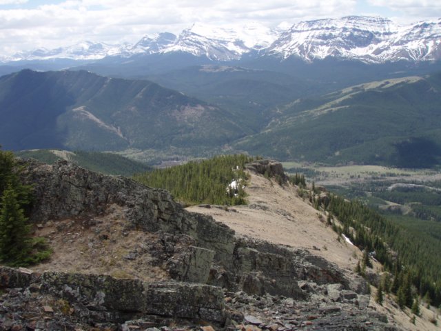 p5310391.jpg