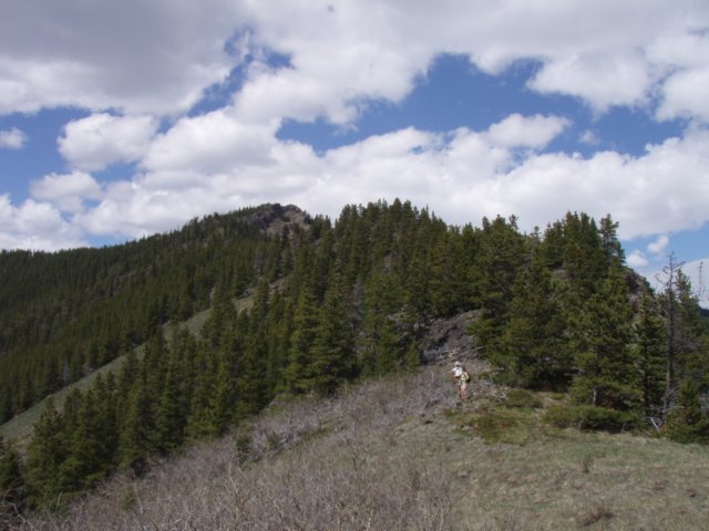 p5310393.jpg