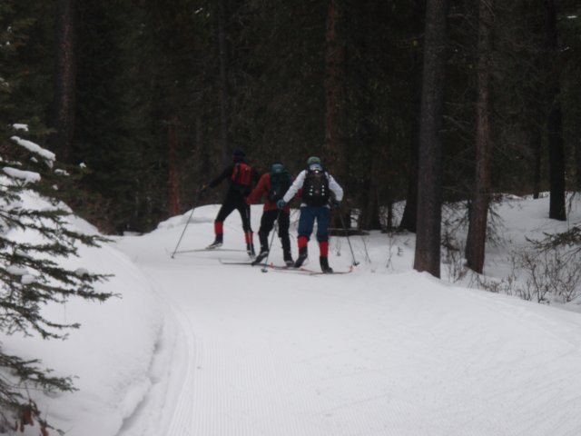 p1302372.jpg