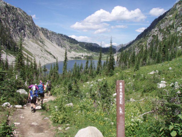 p8158664.jpg