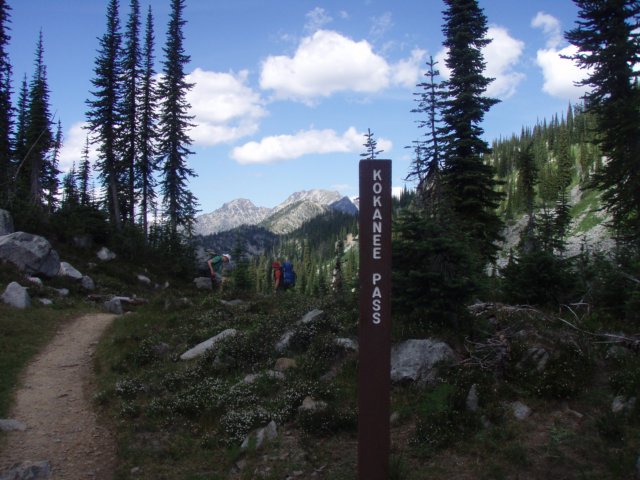 p8158673.jpg