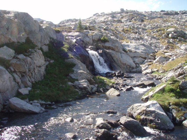 p8168690.jpg