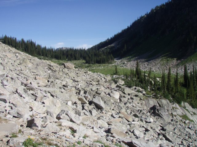 p8188763.jpg