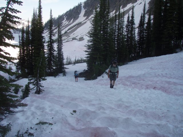 p7095764.jpg