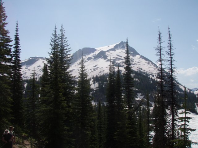 p7115789.jpg