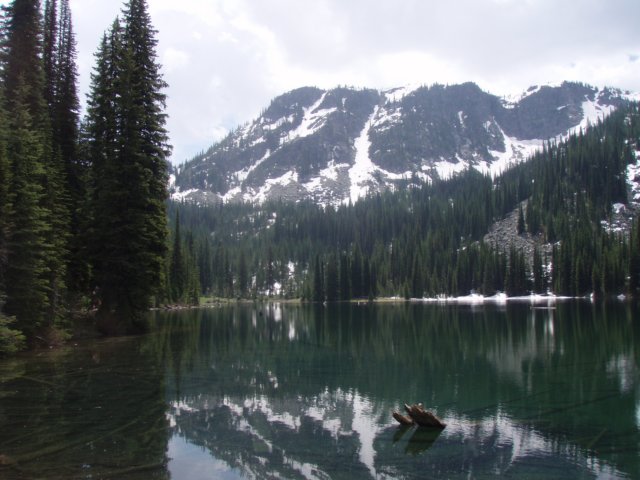p7115796.jpg